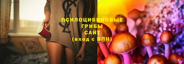 spice Болотное