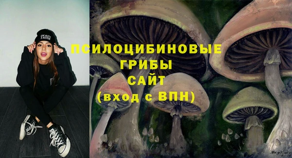 прущие крисы Нязепетровск