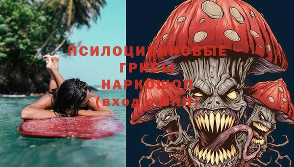 шишки Нягань