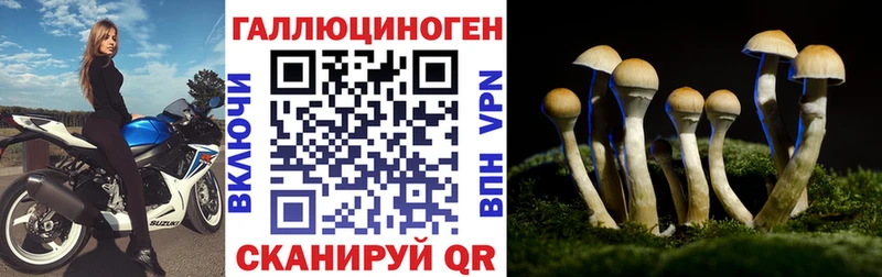 Псилоцибиновые грибы Psilocybine cubensis  Котельнич 